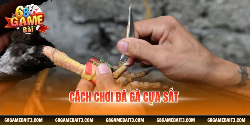 Cách chơi đá gà cựa sắt chuẩn hãy lựa chọn trận phù hợp