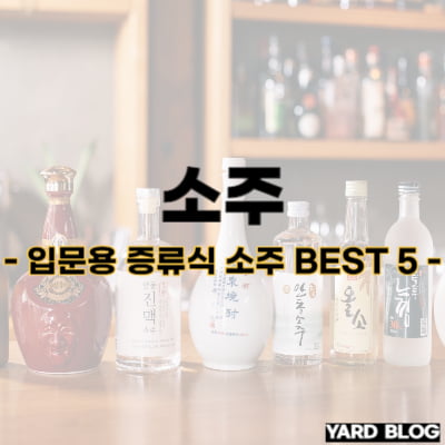 증류식 소주 추천