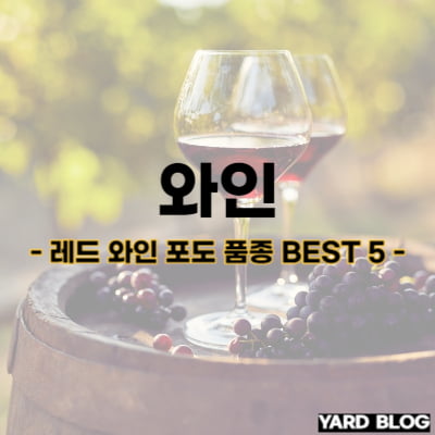 레드 와인 포도 품종 BEST 5