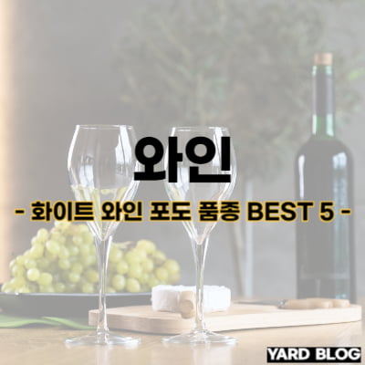 화이트 와인 포도 품종 BEST 5