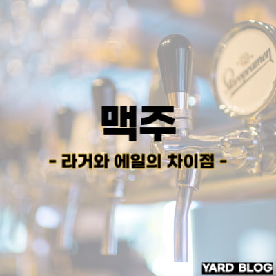 라거와 에일의 차이점, 제대로 알고 먹으면 맛이 2배!