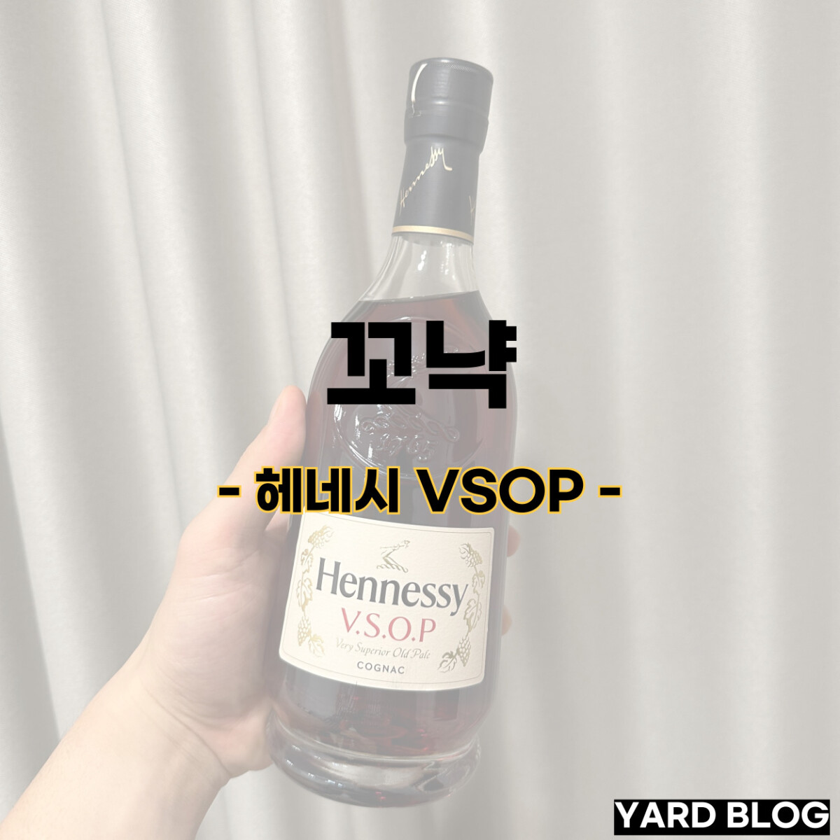 헤네시 VSOP 꼬냑